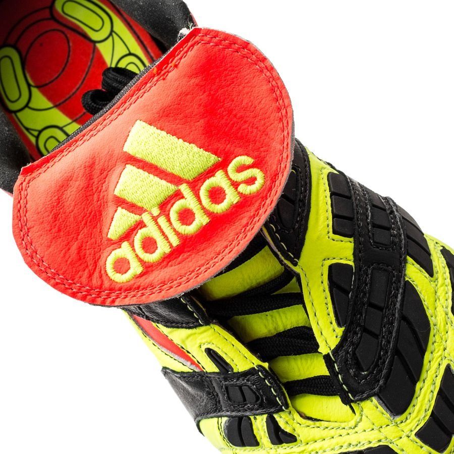 predator accelerator 20 fg electricity