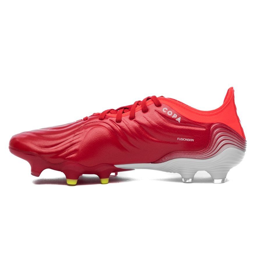 copa sense .1 fg meteorite