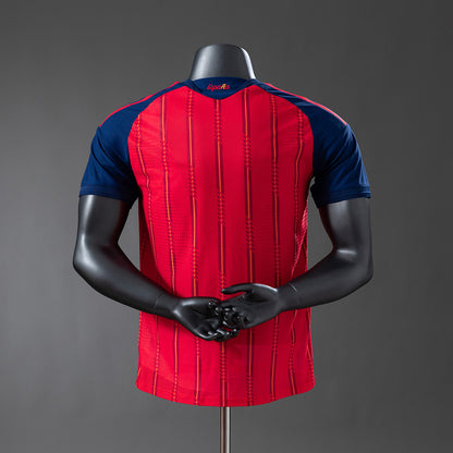 Spain 2026 home kit