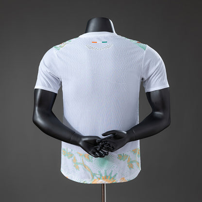 Ivory Coast 2026 second kit