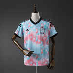 Belgium 2026 second kit